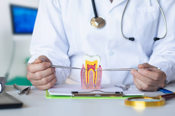 Best Knocked-Out Tooth (Avulsed Tooth) Treatment in Hawthorne, NV
